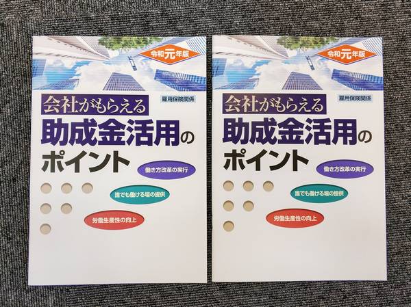 大阪社労士事務所・令和元年版の助成金活用のポイントを上梓しました2019-05-21
